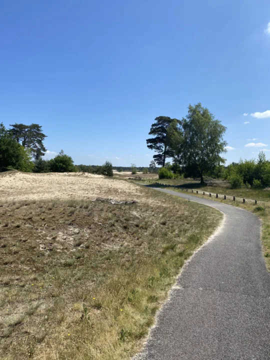 Gepflasterter Radweg, der sich unter blauem Himmel durch sandige Dünen und spärliche Vegetation schlängelt.