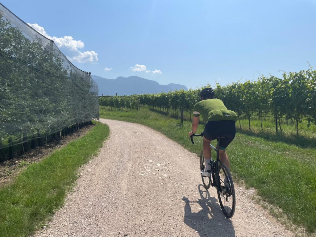 Fietsen in Trentino door de wijngaarden