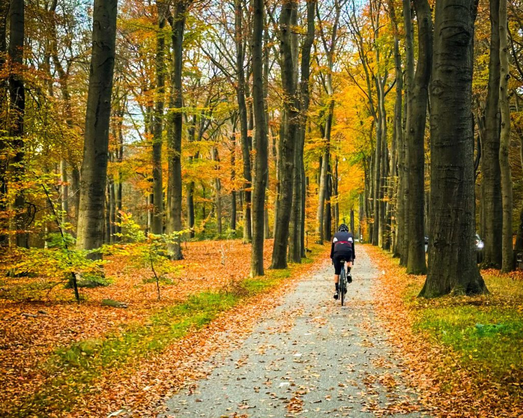 Pyramide Austerlitz, Klim, Utrechtse Heuvelrug