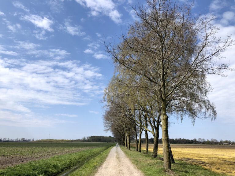 Cyclingdestination.cc - Omstreken - brabant