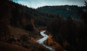 Cyclingdestination.cc - Schwarzwald