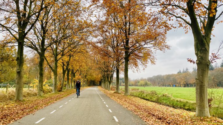 fietsen, utrecht, Soestdijk, etxeondo