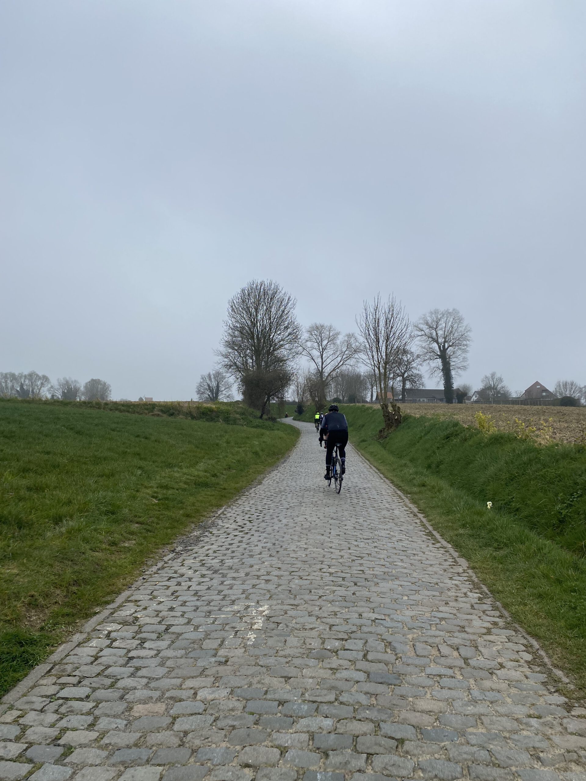 oude Kwaremont, kasseien, Vlaanderen, fietsen