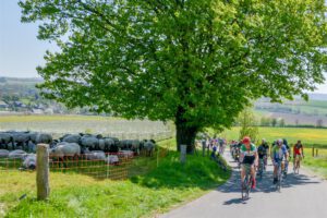 fietsen, zuid limburg, amstel gold race