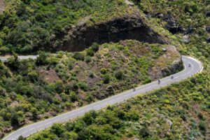 tenerife, cycling in tenerife, cycling in spania, cycling in tenerife, rest day, in the forests, forest, small forests, rest, relax