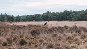 gravelen in brabant, gravel kalmthoutse heide, gravel, kalmthout, gravel in brabant, gravel cycling, gravelen, gravelbiken, nynke cuperus