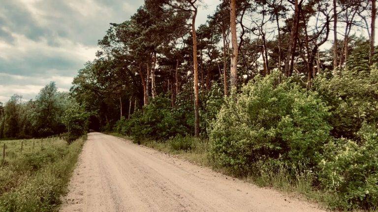 gravel fietsen, midden-limburg, gravel midden-limburg, gravelroute midden-limburg, gravelroute limburg, gravelroute, gravelroutes midden-limburg, limburg fietsen, gravelbike