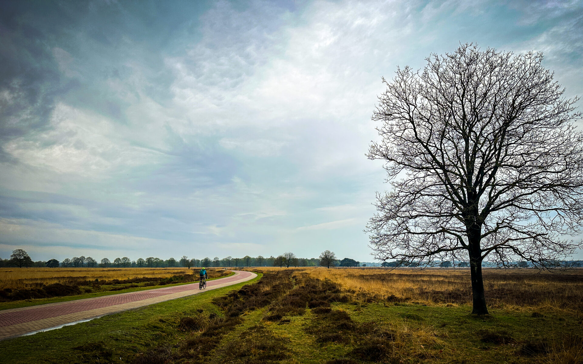 Drents-Friese Wold