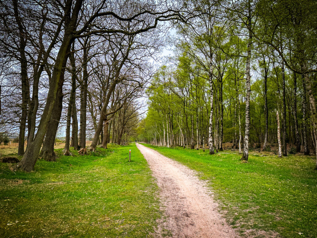 gravel paths drenthe