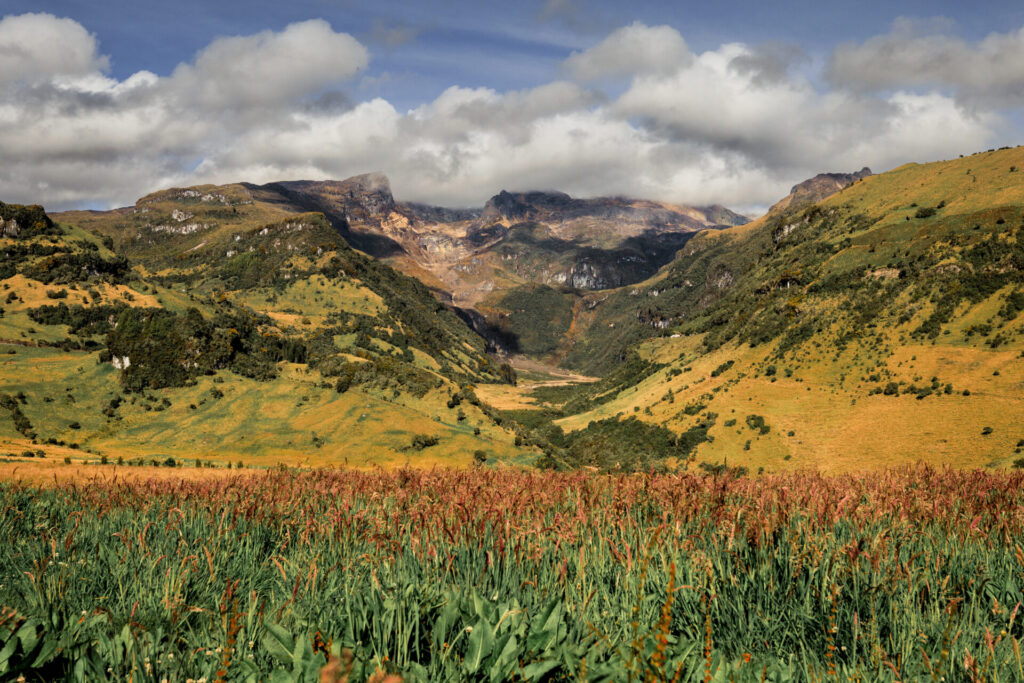 Nevado del Ruiz, Panorama