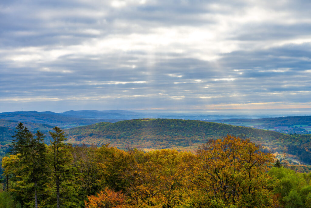 Aussicht auf den Natur- und Geopark Terra.vita