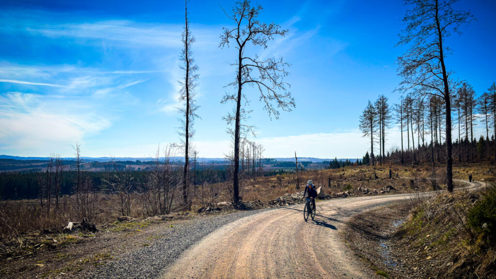 gravelweg, Harz, Maya Mokasay