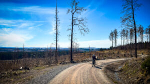 Harz, Kies, Sachsen-Anhalt, Maya Mokasay