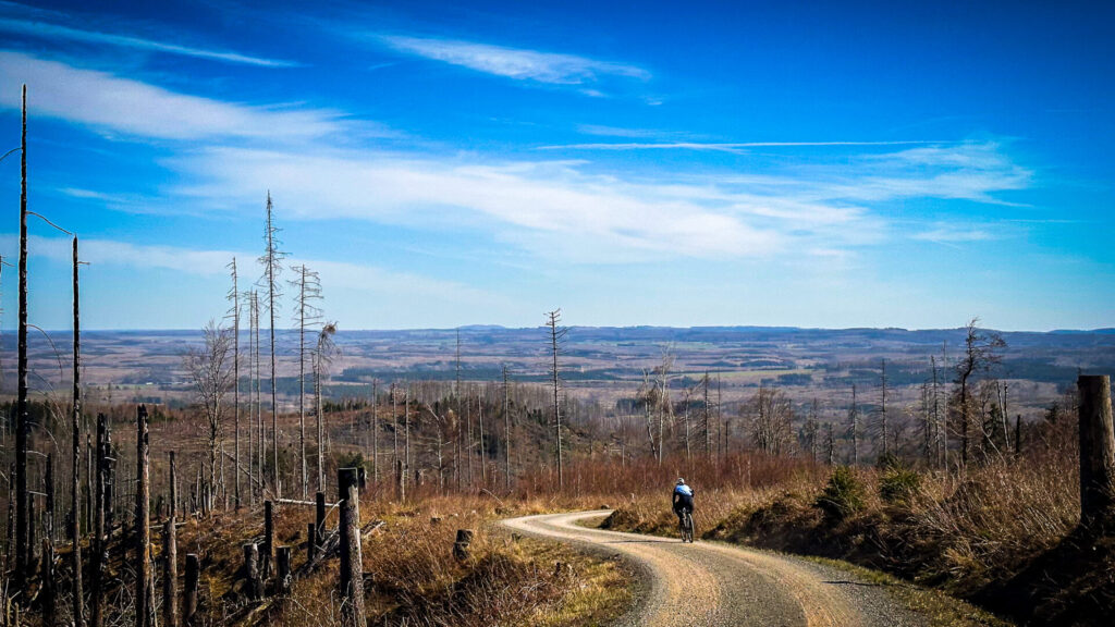 Harz, harzgebergte, Duitsland, Sachsen-Anhalt, Gravelweg