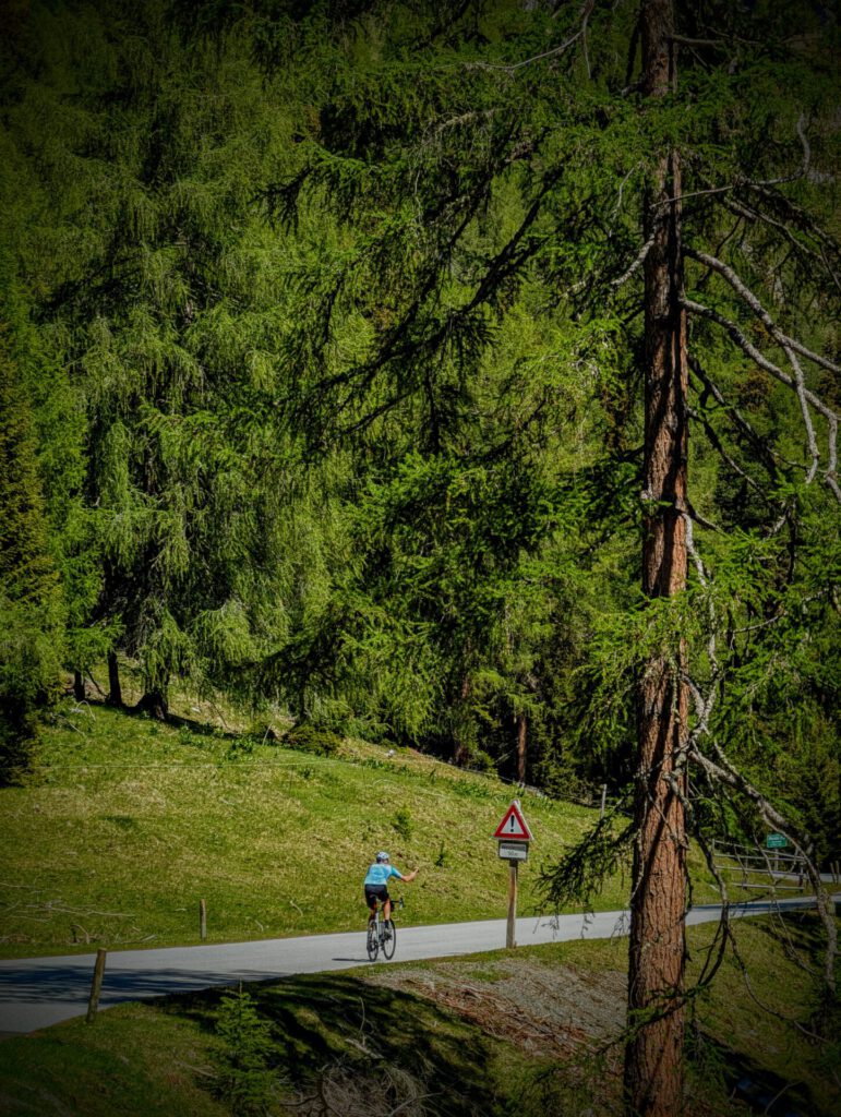 Thomas Bogaard, Landal, klim