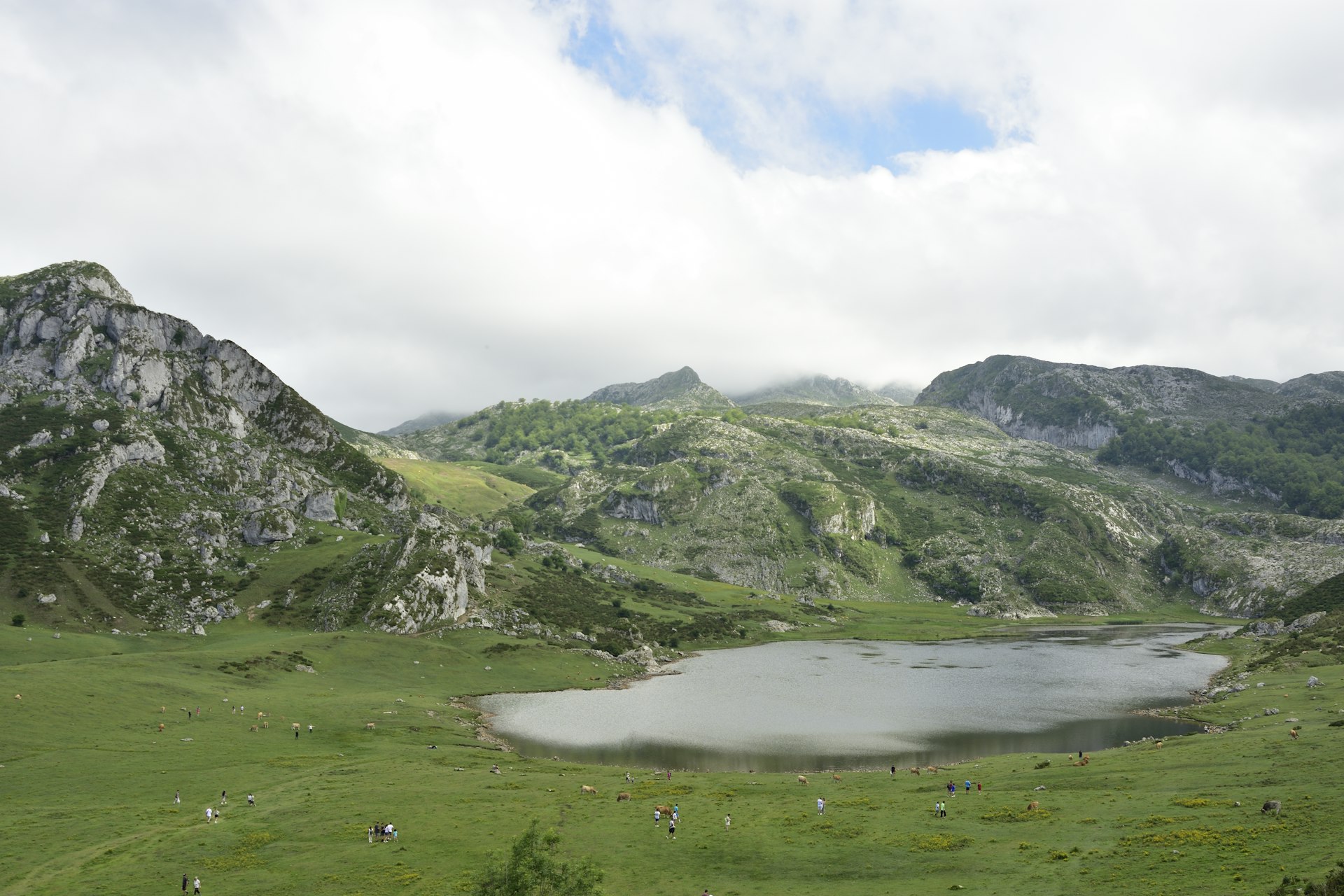 Bergen van Asturië