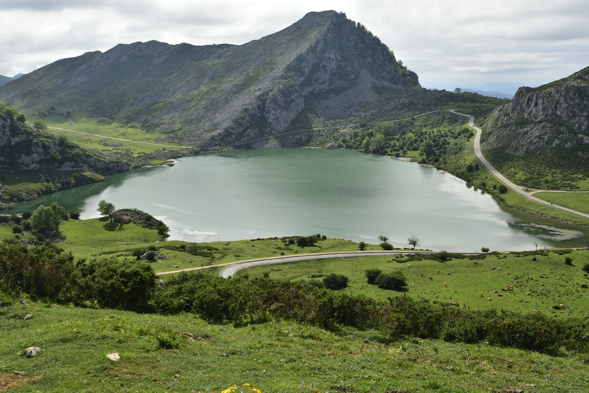 Bergen van Asturië