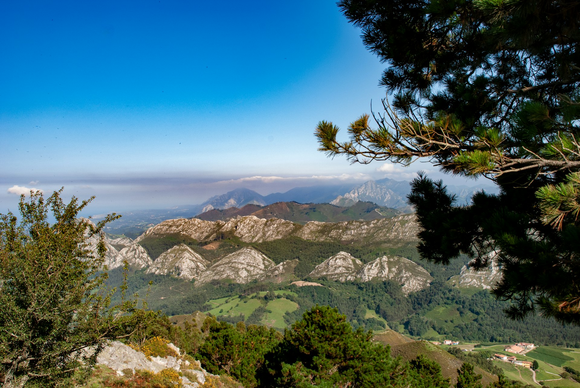 Bergen van Asturië