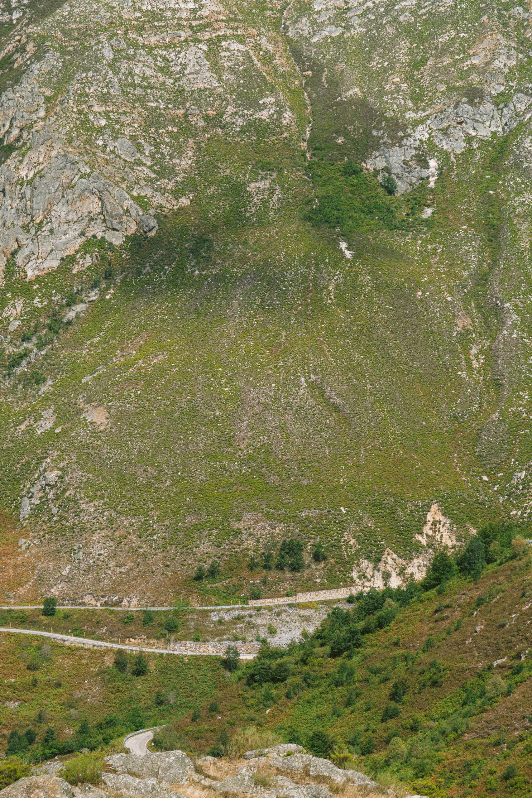 Bergen van Asturië