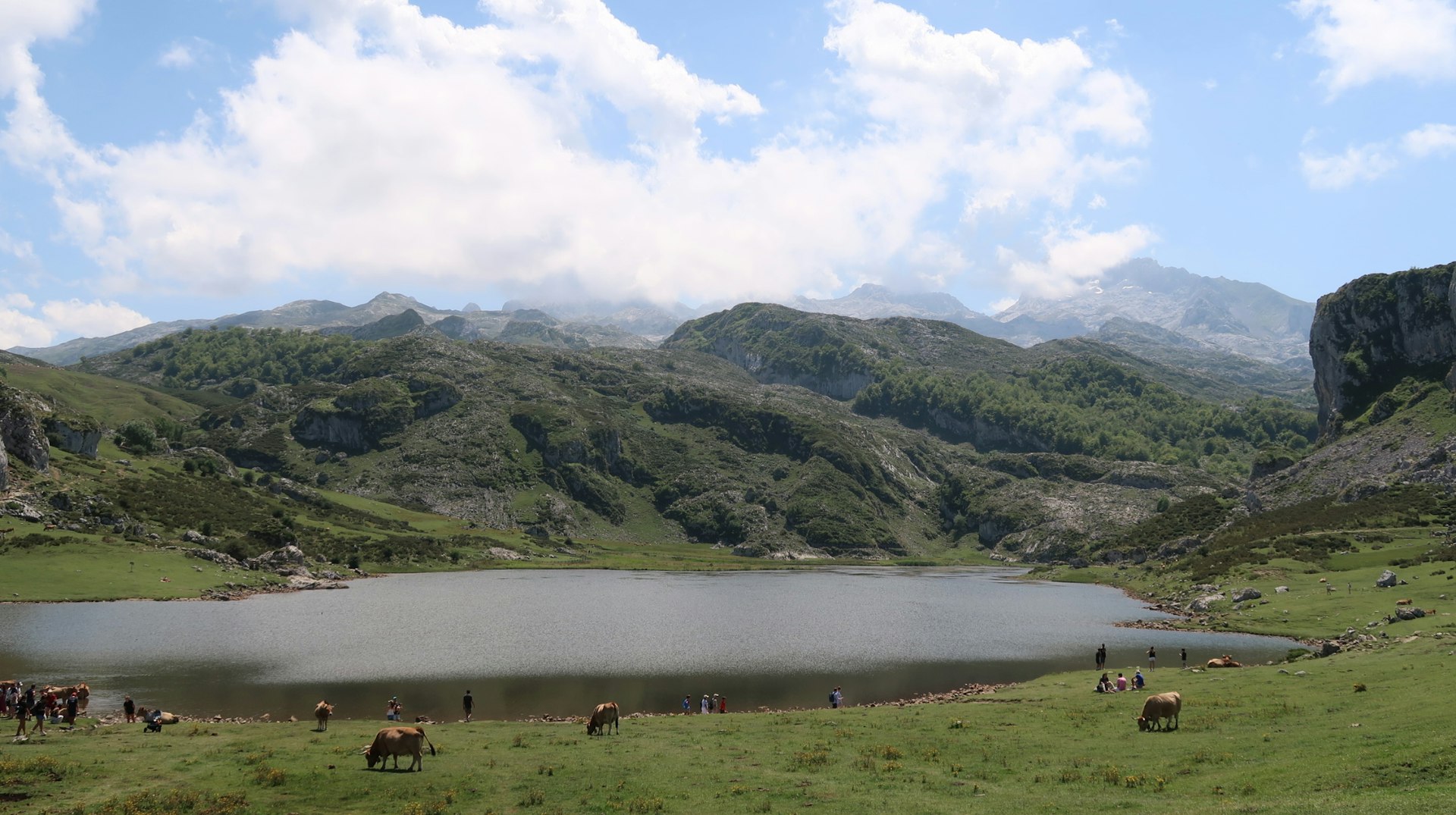 Bergen van Asturië