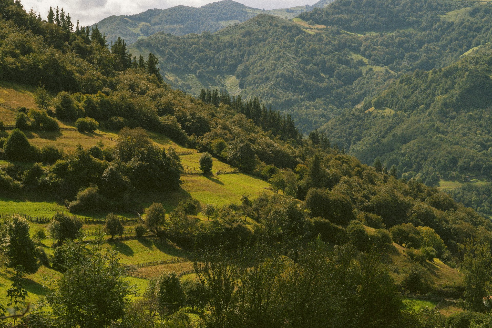 Groen binnenland van Asturië