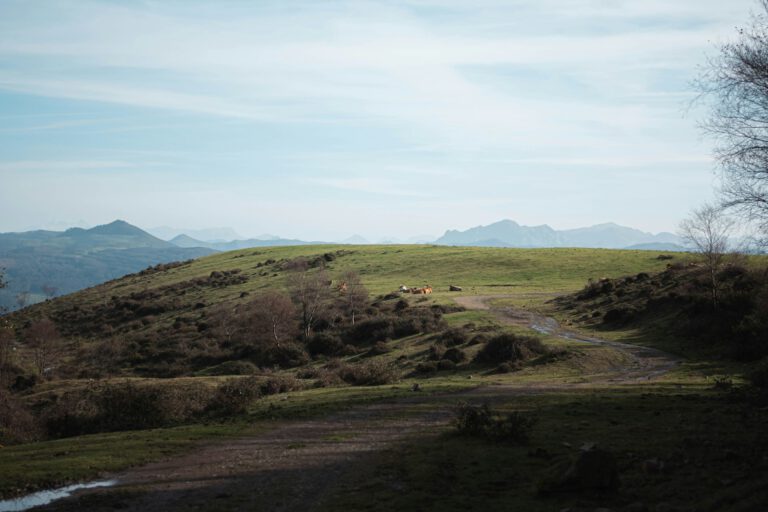 Groen binnenland van Asturië