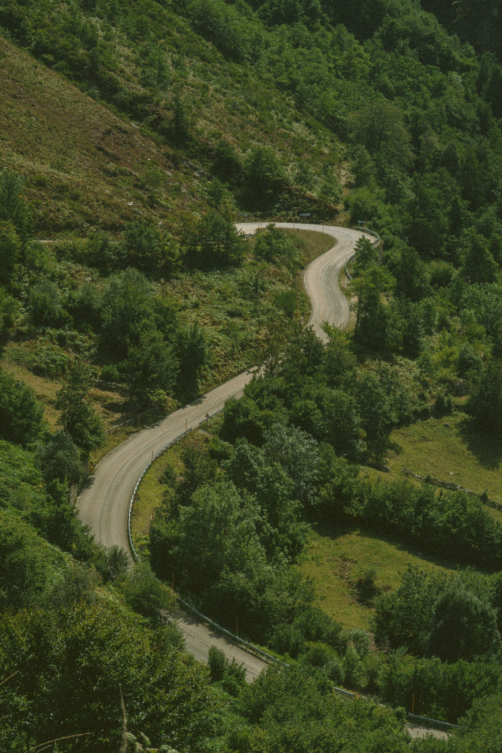 Groen binnenland van Asturië