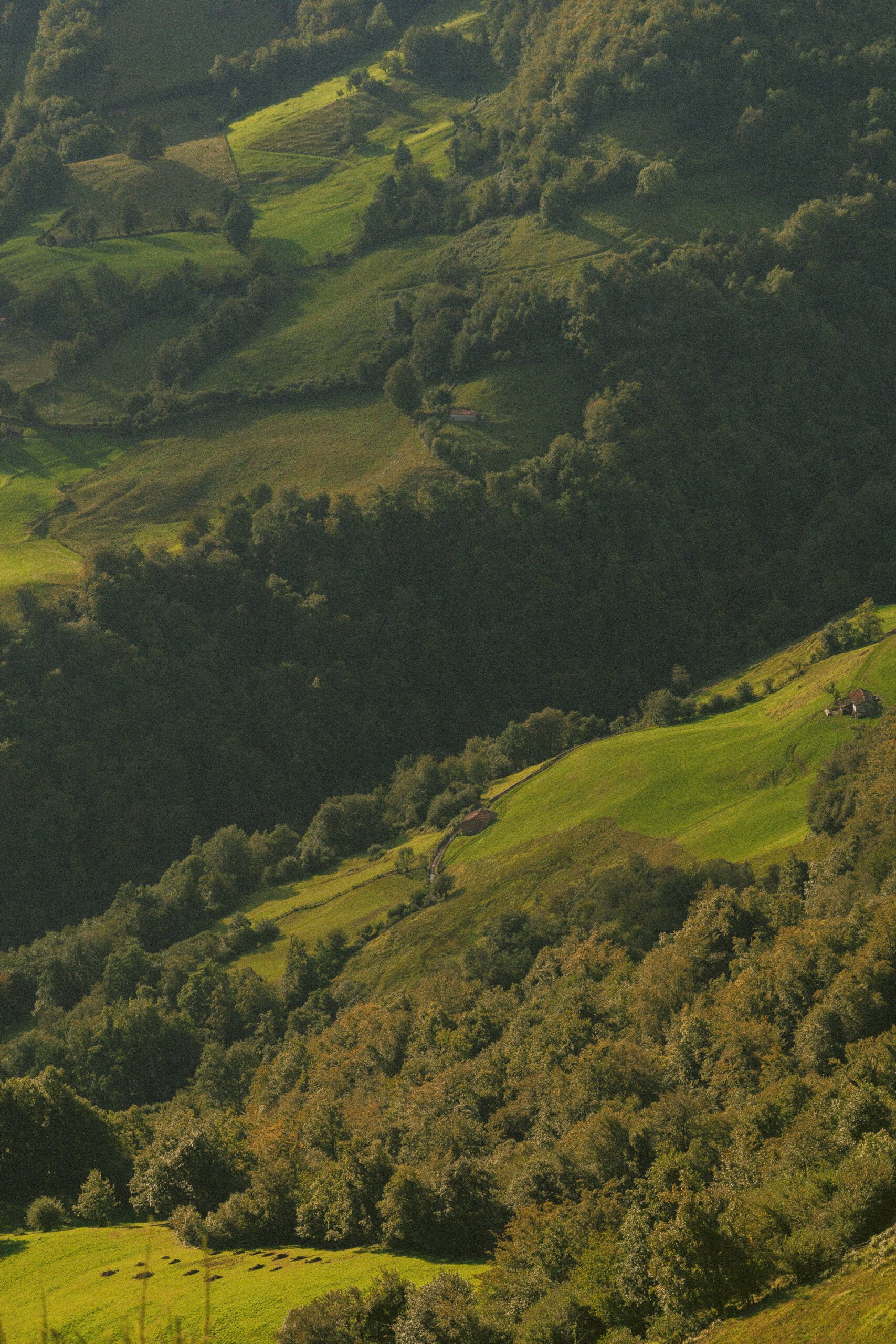 Groen binnenland van Asturië