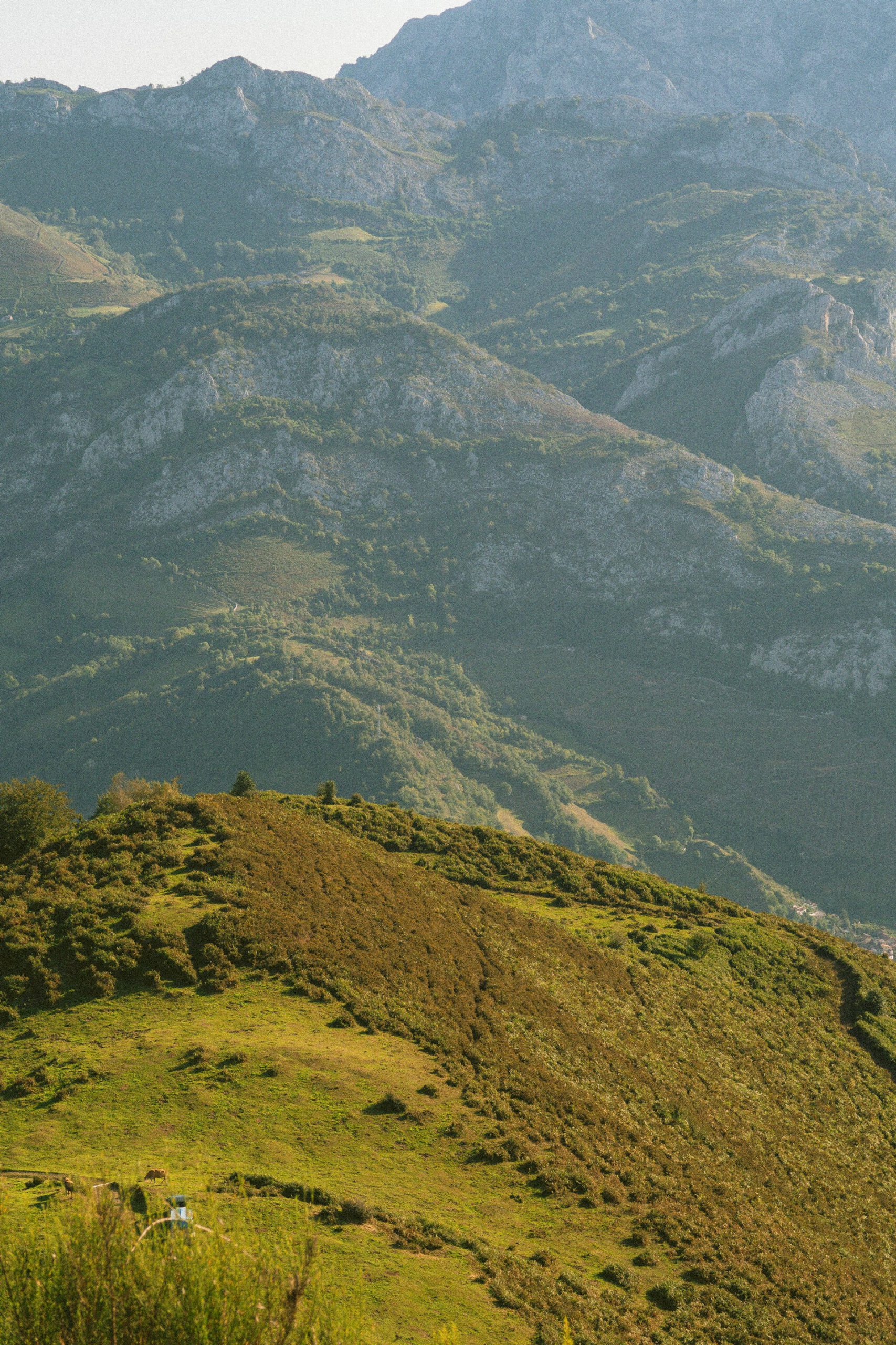 Groen binnenland van Asturië