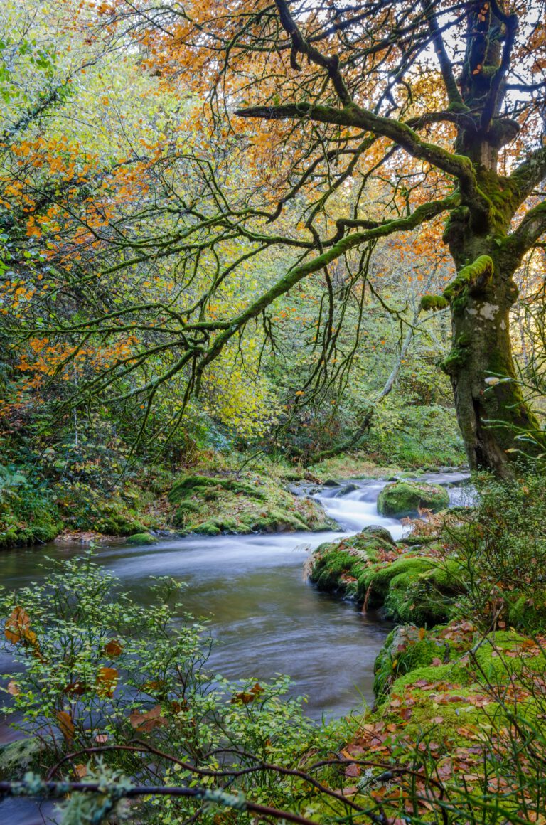 Rivier en brug in Asturië