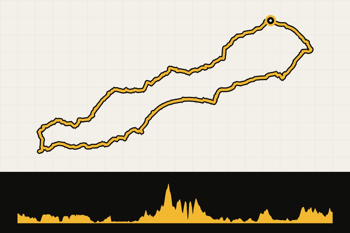 Map and elevation profile of England: New Forest and the Jurassic Coast