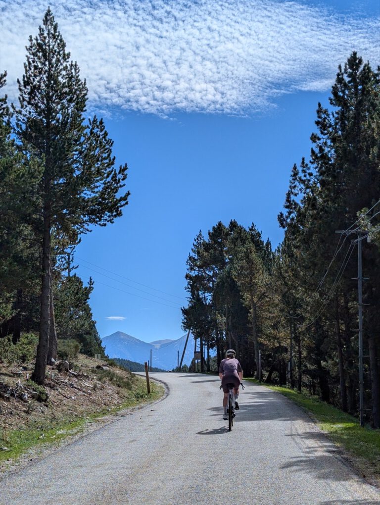 Fietser op een smalle weg tussen hoge dennen, met een bergtop in de verte