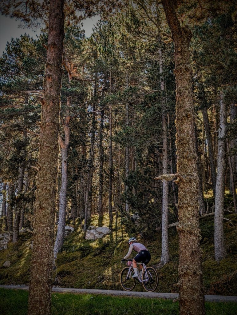 Fietser klimt over een smal weggetje door een dicht dennenbos