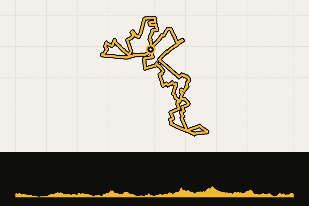Map and elevation profile of Utrecht: Lage Vuursche 77 km – via GravelRides.cc